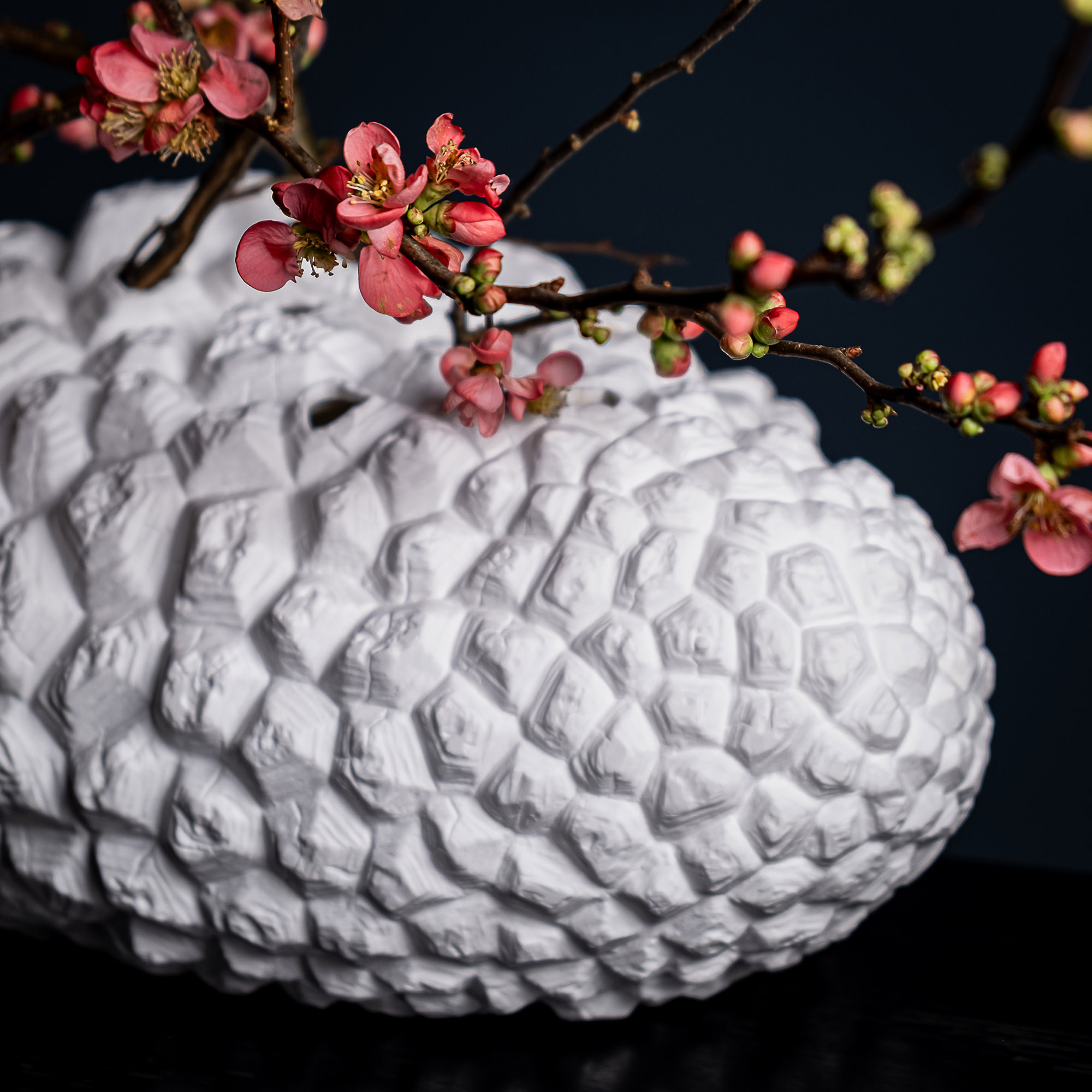 KLATT-OBJECTS_Natur35