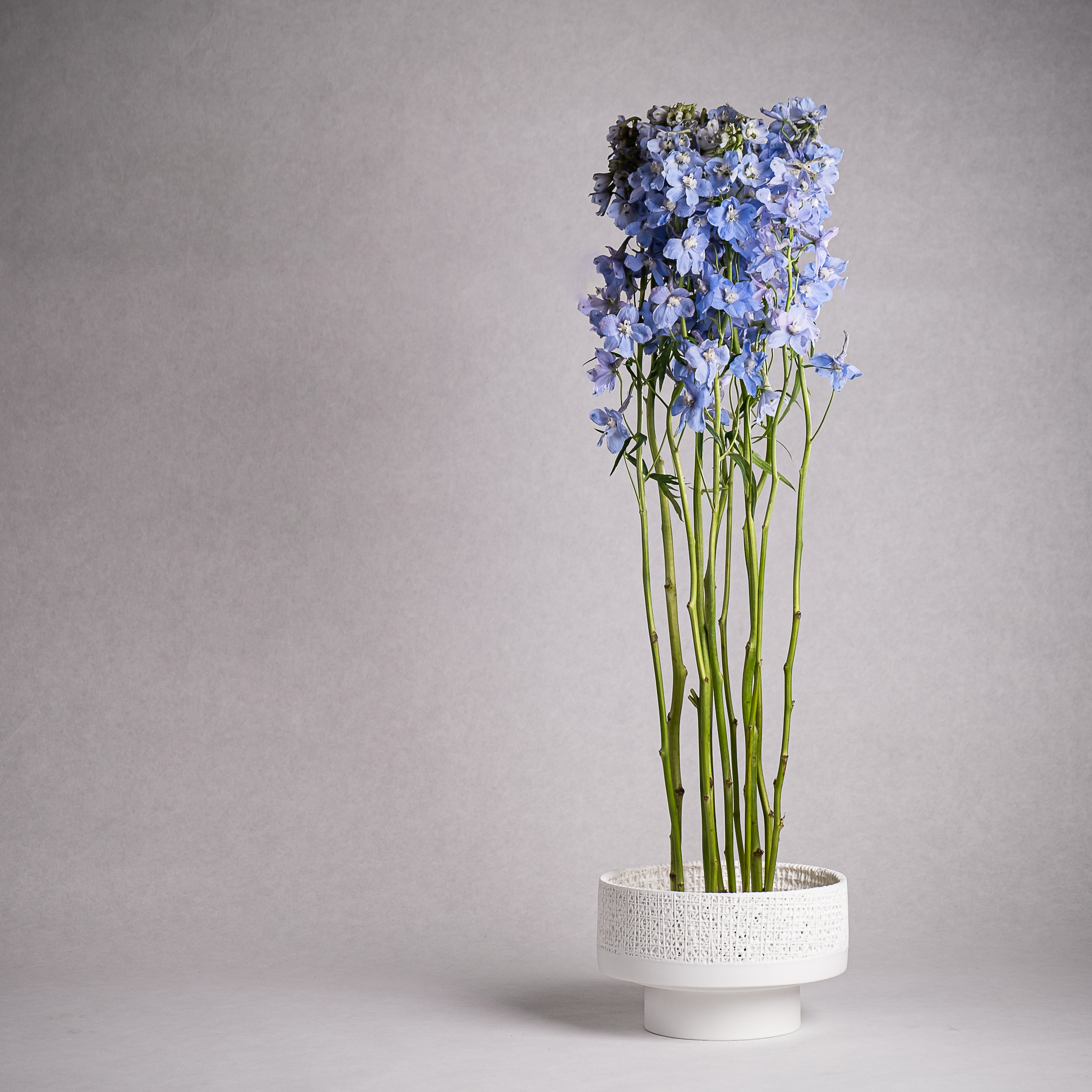 GAZE flower bowl 21 cm