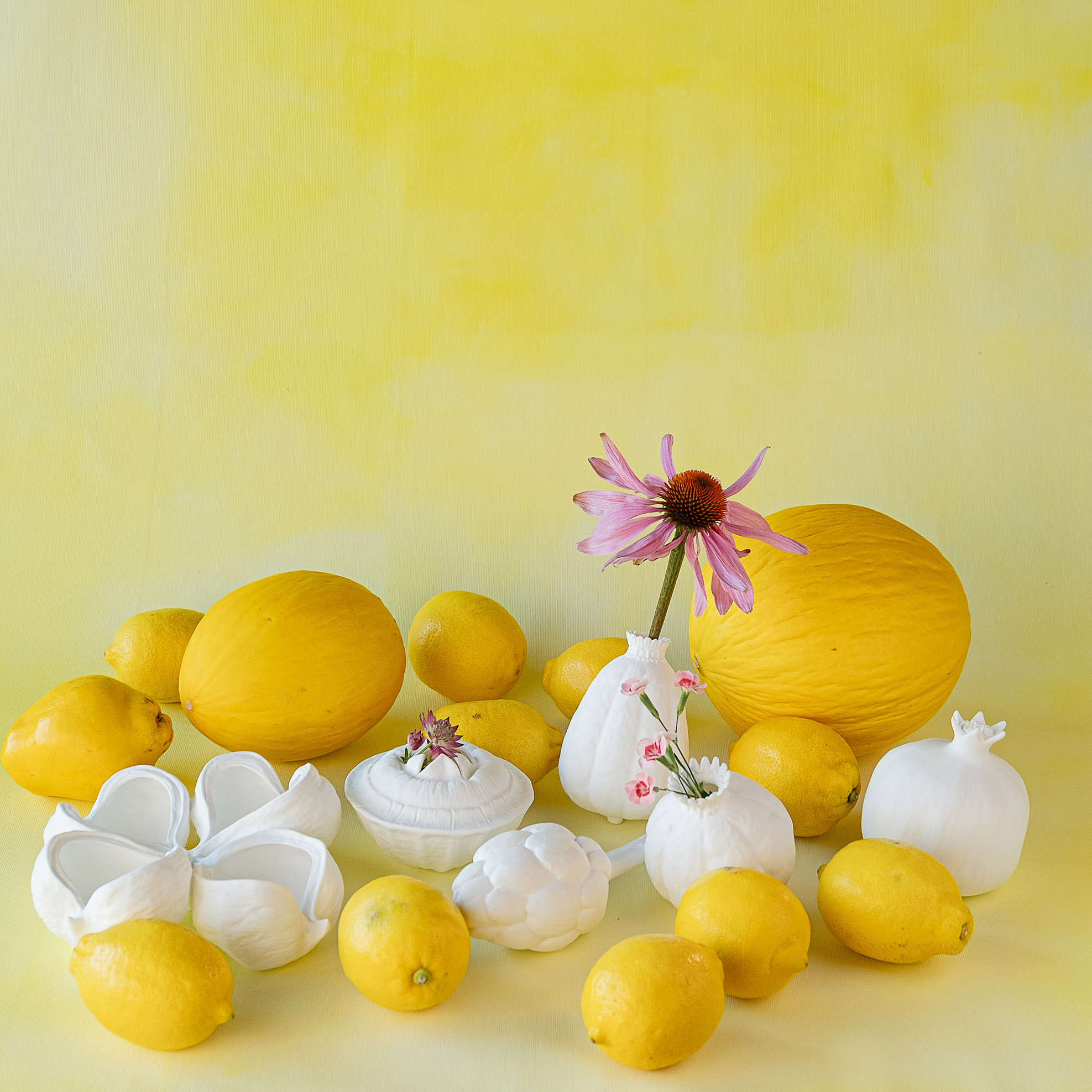 KLATT-OBJECTS_Natur49