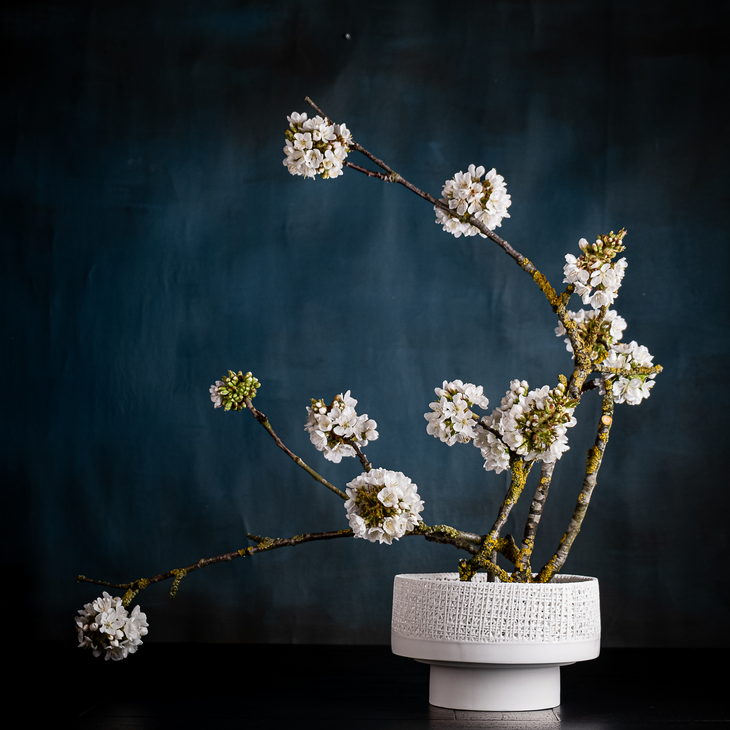 GAZE Blumenschale für Kenzan  D 21 cm