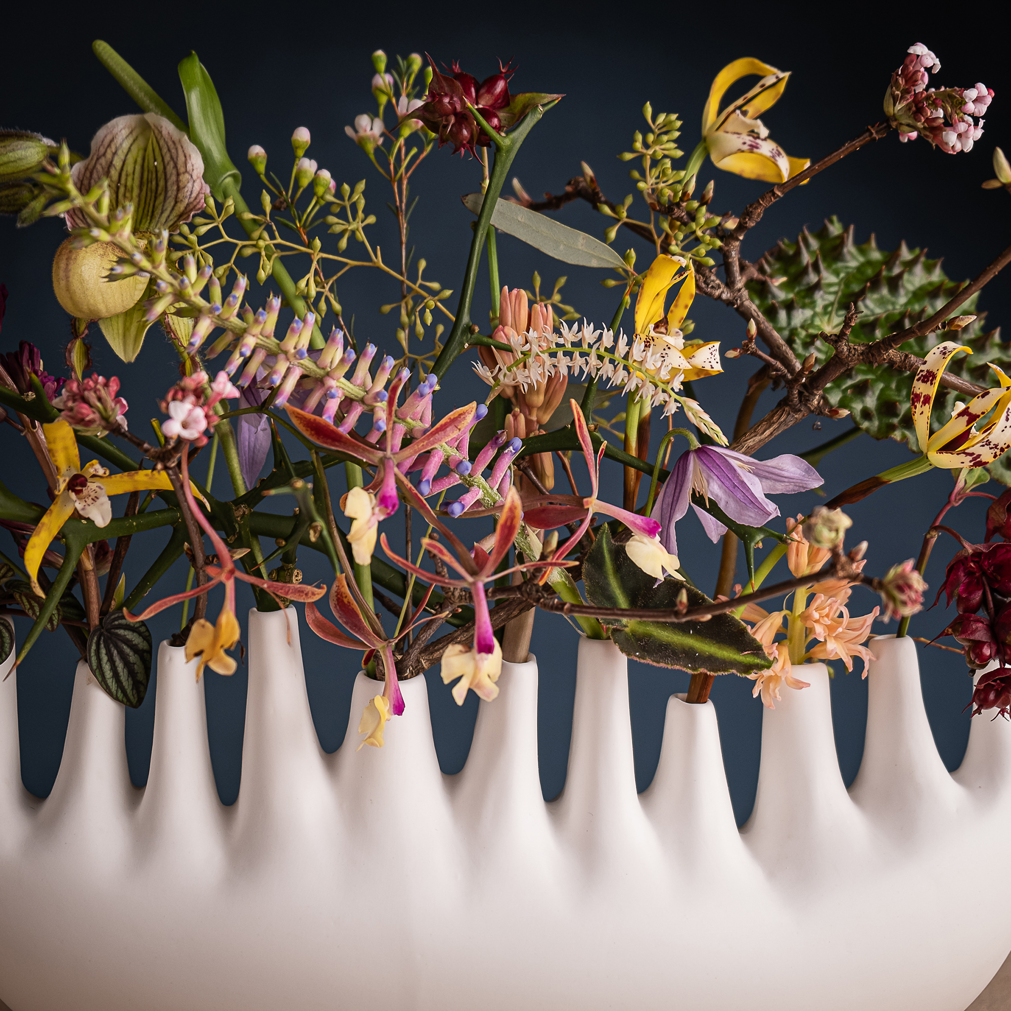 KLATT-OBJECTS_Natur13